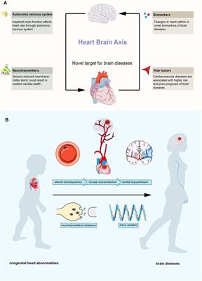 Heart-brain axis: Association of congenital heart abnormality and brain diseases